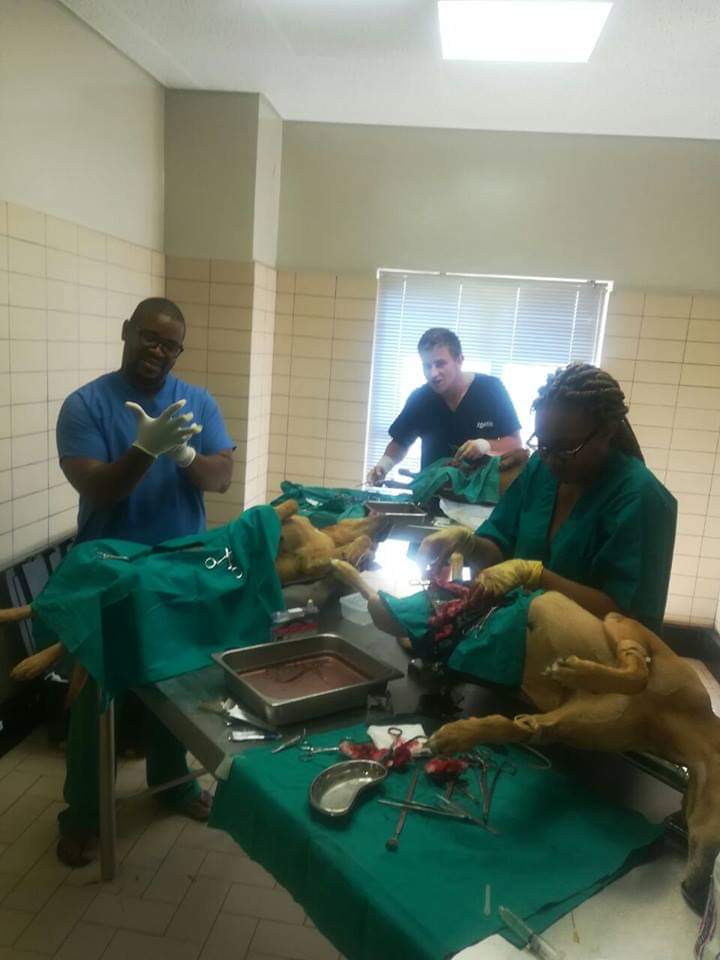 A State of the art vet clinic for Marapyane